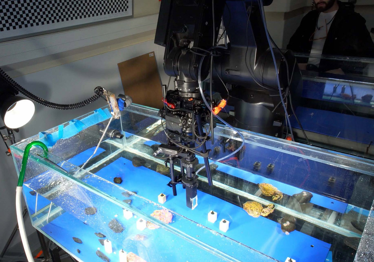 Filming in an aquarium with a robotic camera setup.
