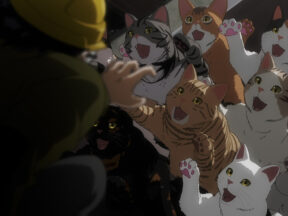 Nyaight of the Living Cat